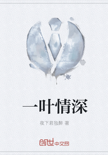一叶情深