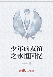 少年的友谊之永恒回忆