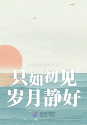 只如初见岁月静好