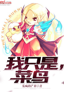 我只是,菜鸟