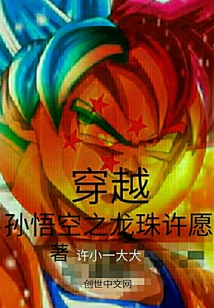 穿越，孙悟空之龙珠许愿