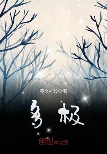 多极