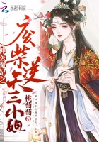 简介-神医魔妃之废柴逆天三小姐