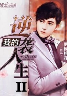 我的逆袭人生2