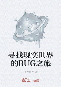 寻找现实世界的BUG之旅