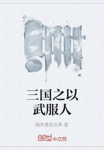 三国之以武服人
