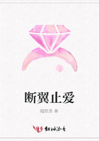 斷翼止愛在線閱讀