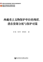 西藏重点文物保护单位的现状、潜在资源分析与保护对策在线阅读