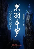 斗罗大陆之黑羽斗罗在线阅读