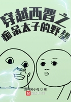 穿越西晋之痴呆太子的野望