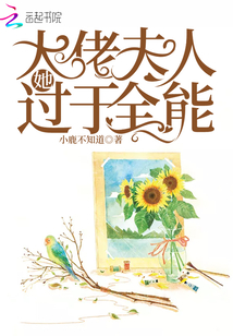 大佬夫人她過于全能