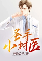 圣手小村医