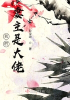 我的妻主是大佬