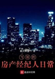 飛哥的房產(chǎn)經(jīng)紀(jì)人日常