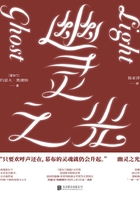 幽靈之光在線閱讀
