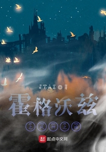 霍格沃兹之风神之瞳
