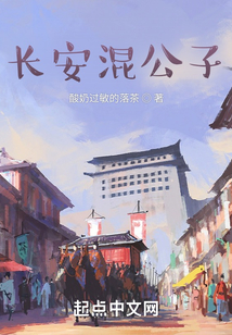 長安混公子