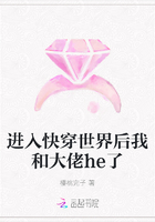 进入快穿世界后我和大佬he了