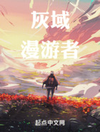灰域漫游者在线阅读