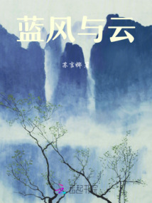 藍風與云