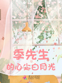 季先生的心尖白月光