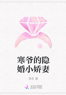 寒爷的隐婚小娇妻