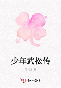 少年武松傳