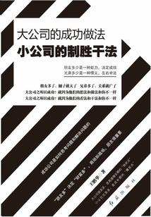 大公司的成功做法 小公司的制勝干法