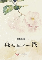 偏安你這一隅在線閱讀