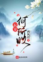 何所叹在线阅读