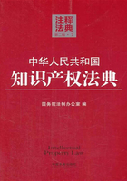 中华人民共和国知识产权法典：注释法典（2014年版）