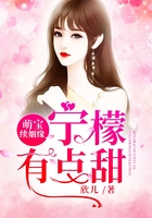 萌宝续姻缘:宁檬有点甜在线阅读