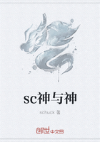 sc神与神在线阅读