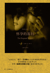 懷孕的寡婦(馬丁·艾米斯作品)