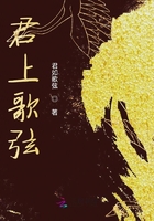 君上歌弦在线阅读