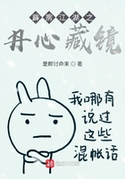 霹靂江湖之丹心藏鏡在線閱讀