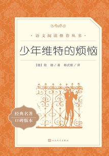 少年维特的烦恼
