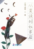 從貴族到奴隸后在線閱讀