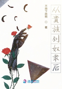 從貴族到奴隸后