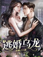 逃婚烏龍在線閱讀