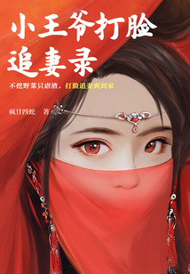小王爺打臉追妻錄