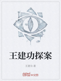 王建功探案