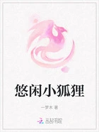 悠闲小狐狸在线阅读