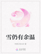 雪仍有余温在线阅读
