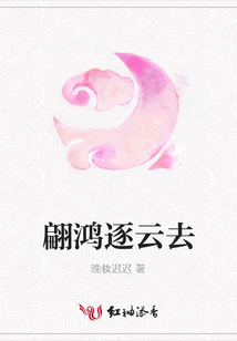 翩鴻逐云去