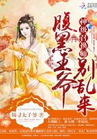 神级召唤师：腹黑王爷别乱来