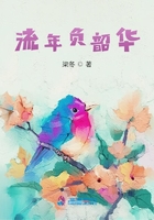 流年負韶華在線閱讀