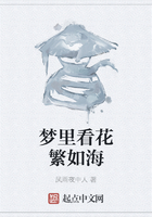 夢里看花繁如海在線閱讀