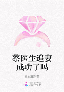蔡醫(yī)生追妻成功了嗎
