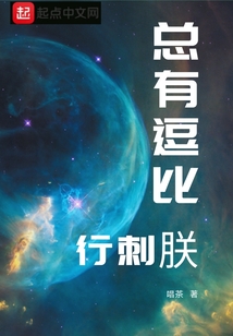 总有逗比行刺朕